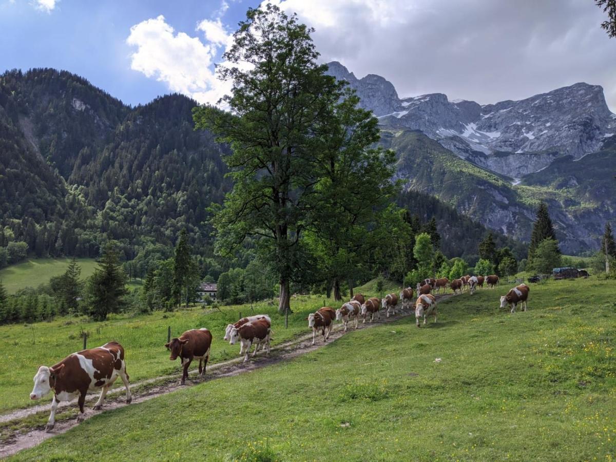 Bio Bauernhof Vorderoberlehen Hotel Werfenweng Kültér fotó