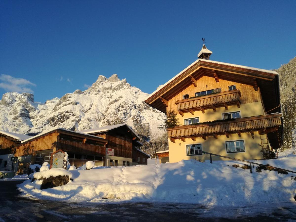 Bio Bauernhof Vorderoberlehen Hotel Werfenweng Kültér fotó