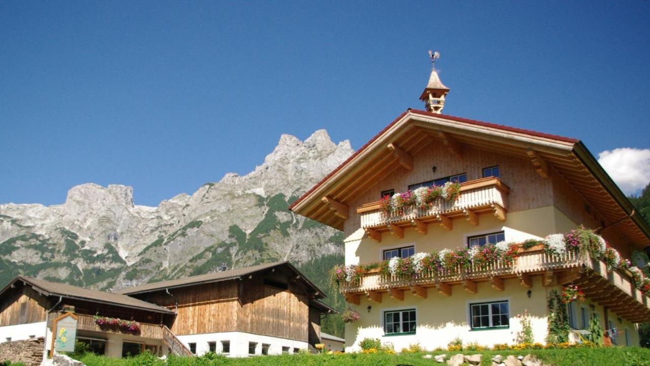 Bio Bauernhof Vorderoberlehen Hotel Werfenweng Kültér fotó
