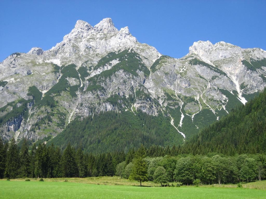 Bio Bauernhof Vorderoberlehen Hotel Werfenweng Kültér fotó