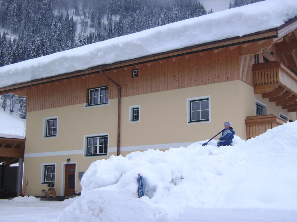 Bio Bauernhof Vorderoberlehen Hotel Werfenweng Kültér fotó