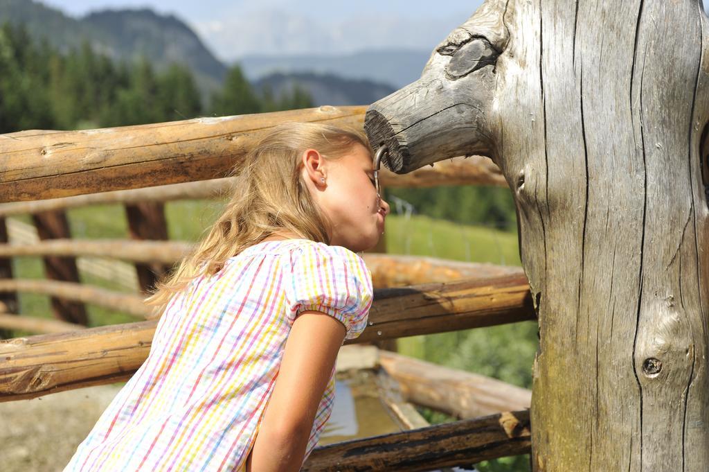 Bio Bauernhof Vorderoberlehen Hotel Werfenweng Kültér fotó