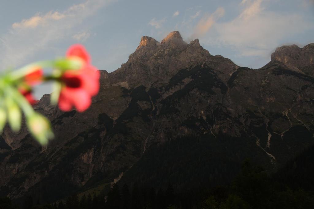 Bio Bauernhof Vorderoberlehen Hotel Werfenweng Kültér fotó