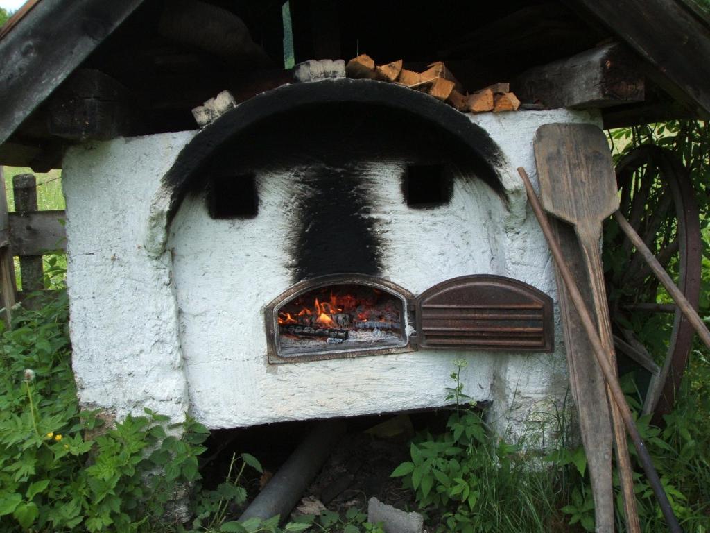 Bio Bauernhof Vorderoberlehen Hotel Werfenweng Kültér fotó